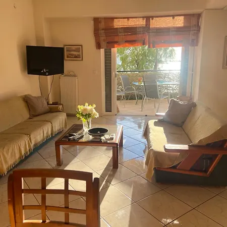 公寓 Sea View Artaki 新阿尔塔基